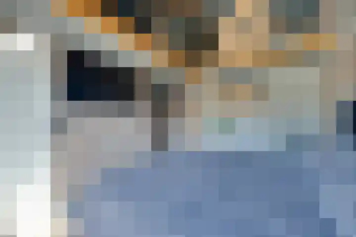 Venenlaan 120 Hoorn thumbnail 32