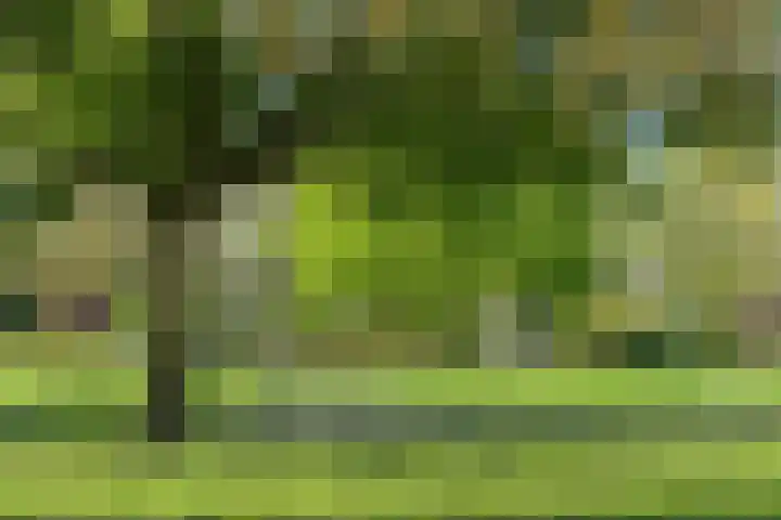 Venenlaan 120 Hoorn thumbnail 44