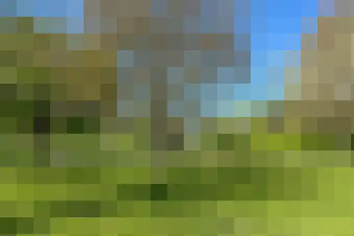 Venenlaan 120 Hoorn thumbnail 45