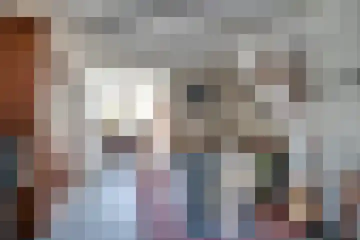 Venenlaan 120 Hoorn thumbnail 7