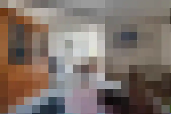 Venenlaan 120 Hoorn thumbnail 8