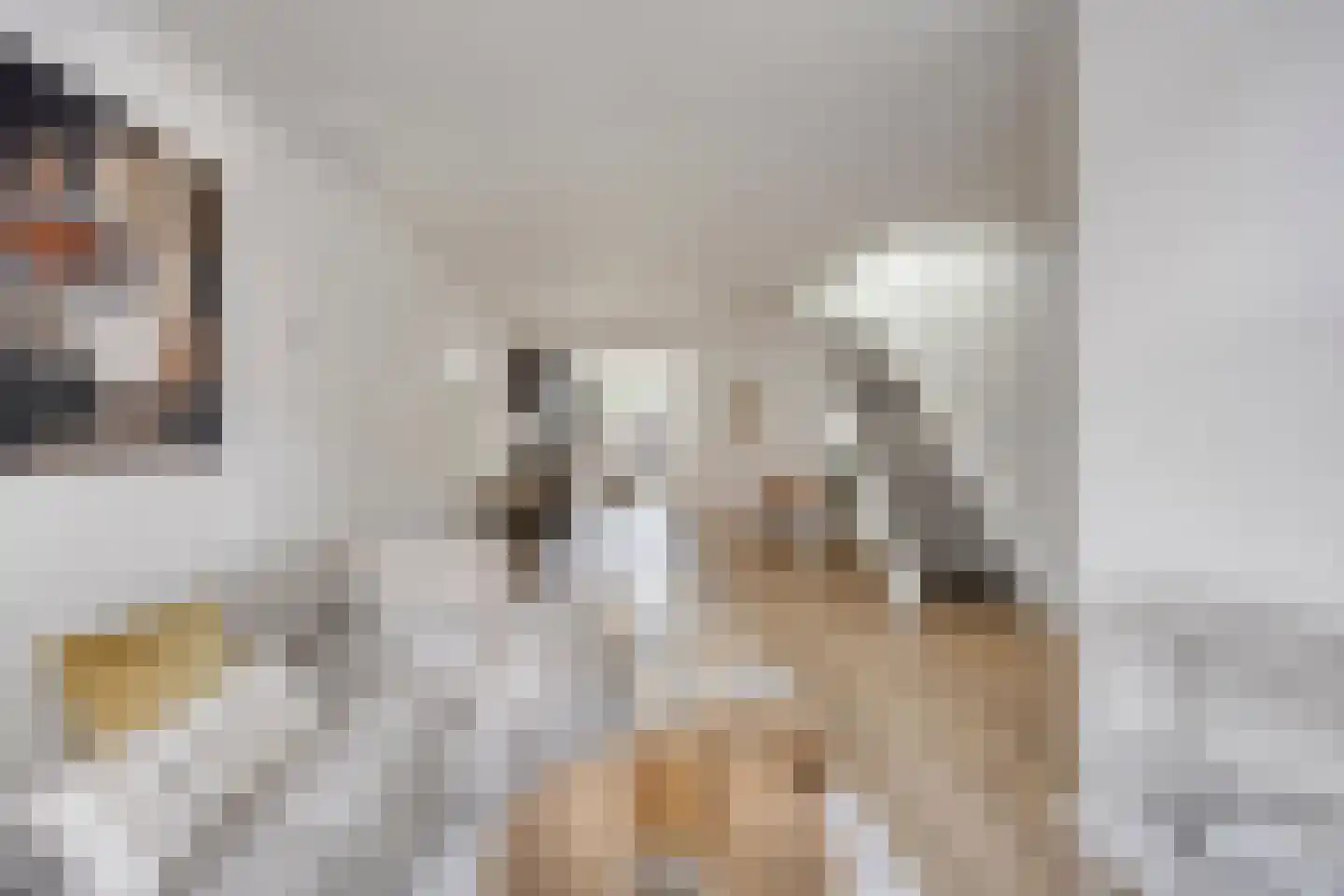Venenlaan 124 Hoorn thumbnail 4