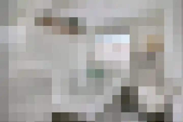 Venenlaan 173 Hoorn thumbnail 21