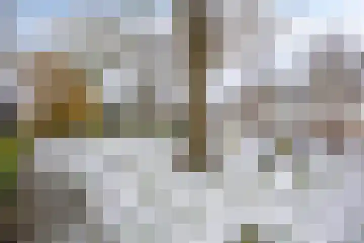 Venenlaan 173 Hoorn thumbnail 31