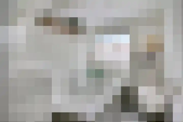 Venenlaan 173 Hoorn thumbnail 5