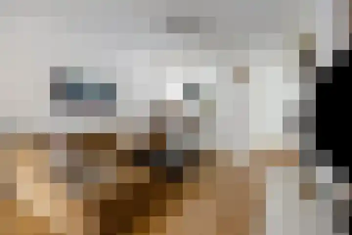 Venenlaan 173 Hoorn thumbnail 9