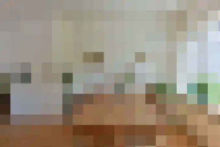 Venenlaan 200 Hoorn thumbnail 11