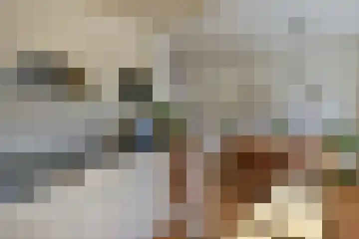 Venenlaan 200 Hoorn thumbnail 12
