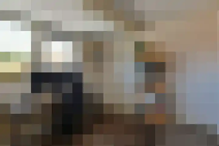 Venenlaan 200 Hoorn thumbnail 15