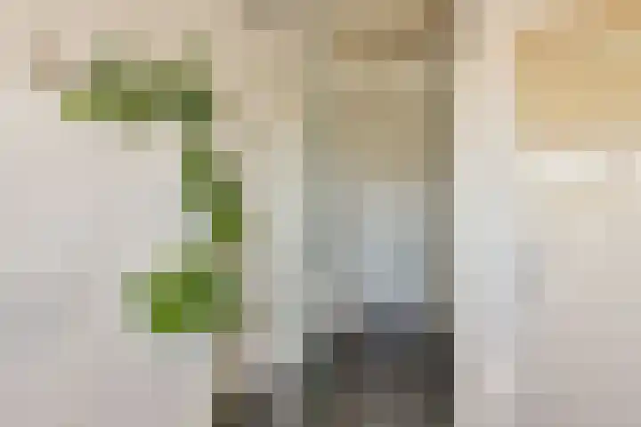 Venenlaan 200 Hoorn thumbnail 21