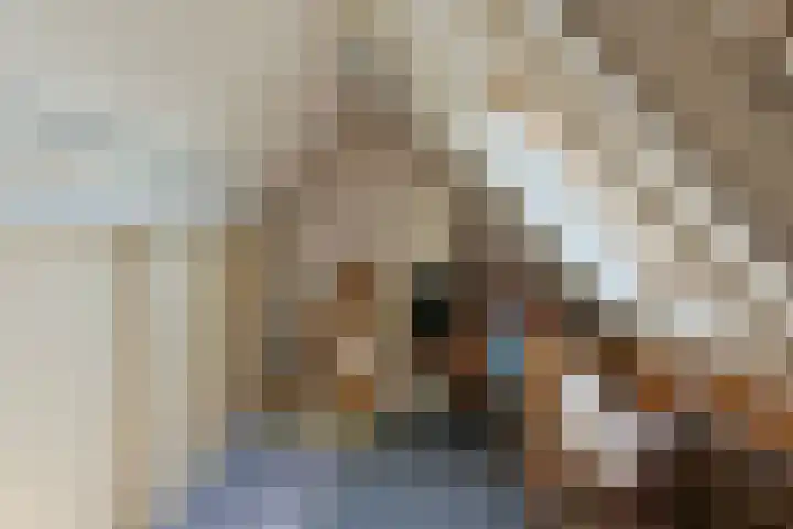 Venenlaan 200 Hoorn thumbnail 22
