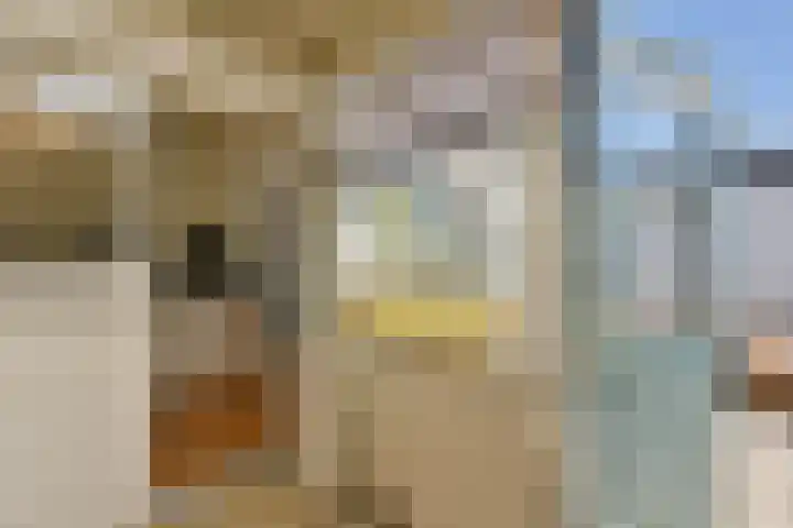 Venenlaan 200 Hoorn thumbnail 25