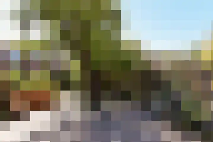 Venenlaan 200 Hoorn thumbnail 30