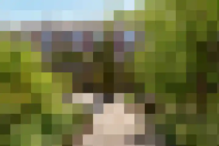 Venenlaan 200 Hoorn thumbnail 31