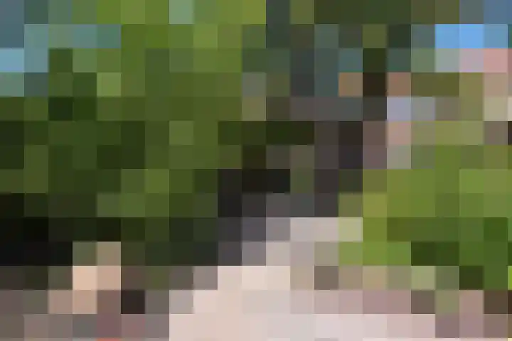 Venenlaan 200 Hoorn thumbnail 32