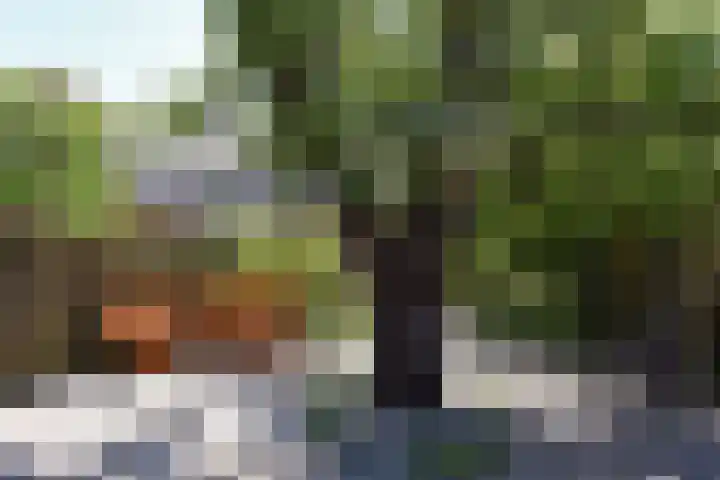 Venenlaan 200 Hoorn thumbnail 33