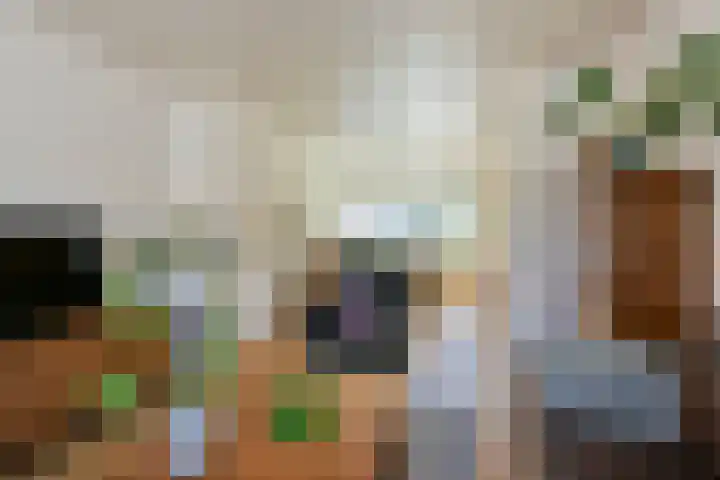 Venenlaan 200 Hoorn thumbnail 7