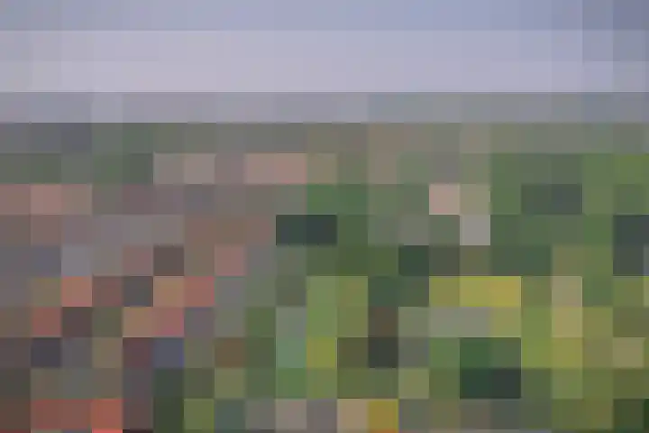 Venenlaan 202 Hoorn thumbnail 40