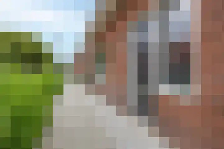 Venenlaan 202 Hoorn thumbnail 6
