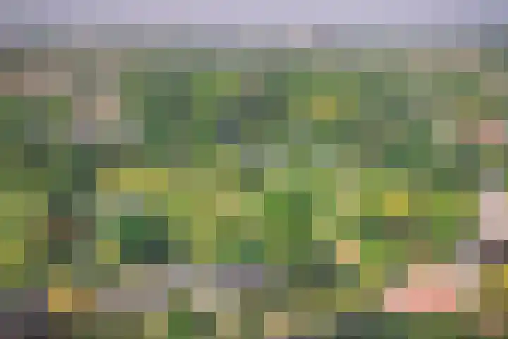 Venenlaan 202 Hoorn thumbnail 7