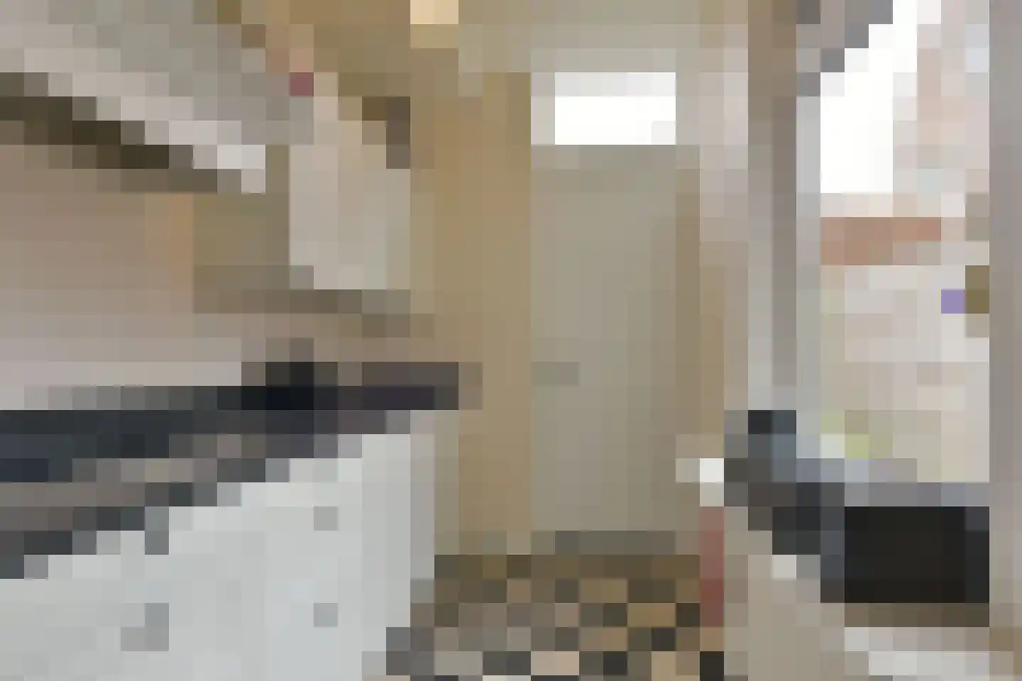 Venenlaan 6 Hoorn thumbnail 11