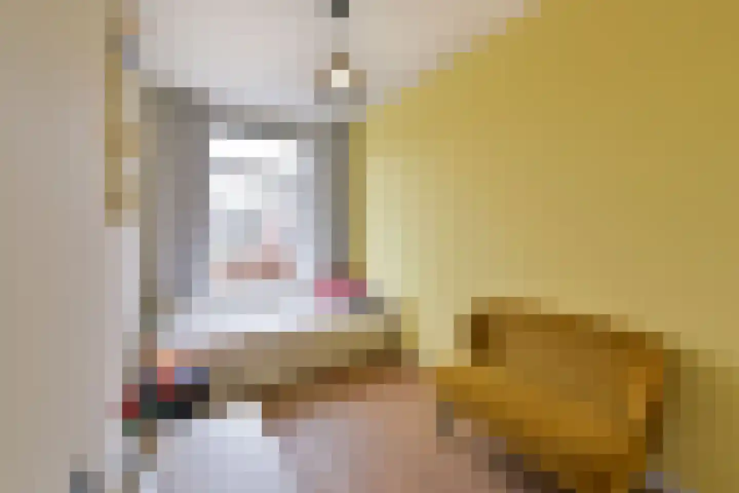 Venenlaan 6 Hoorn thumbnail 13