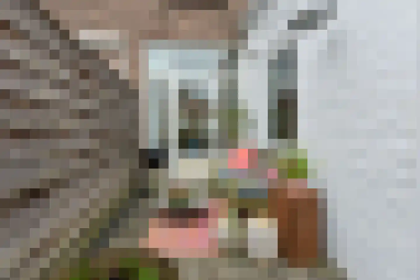 Venenlaan 6 Hoorn thumbnail 28