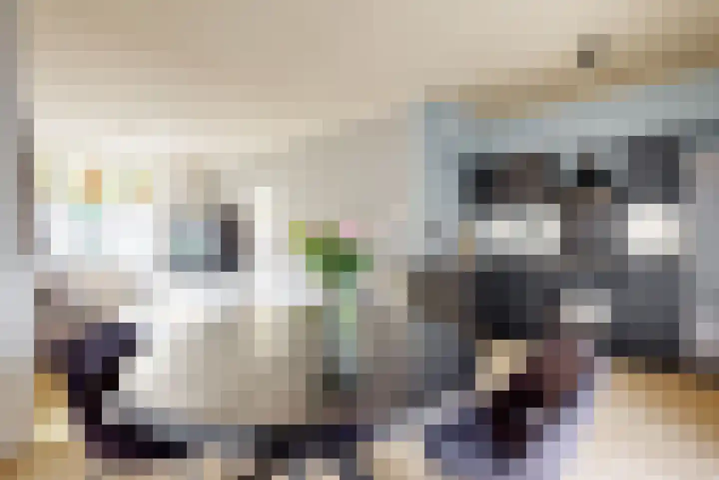 Venenlaan 91 Hoorn thumbnail 5