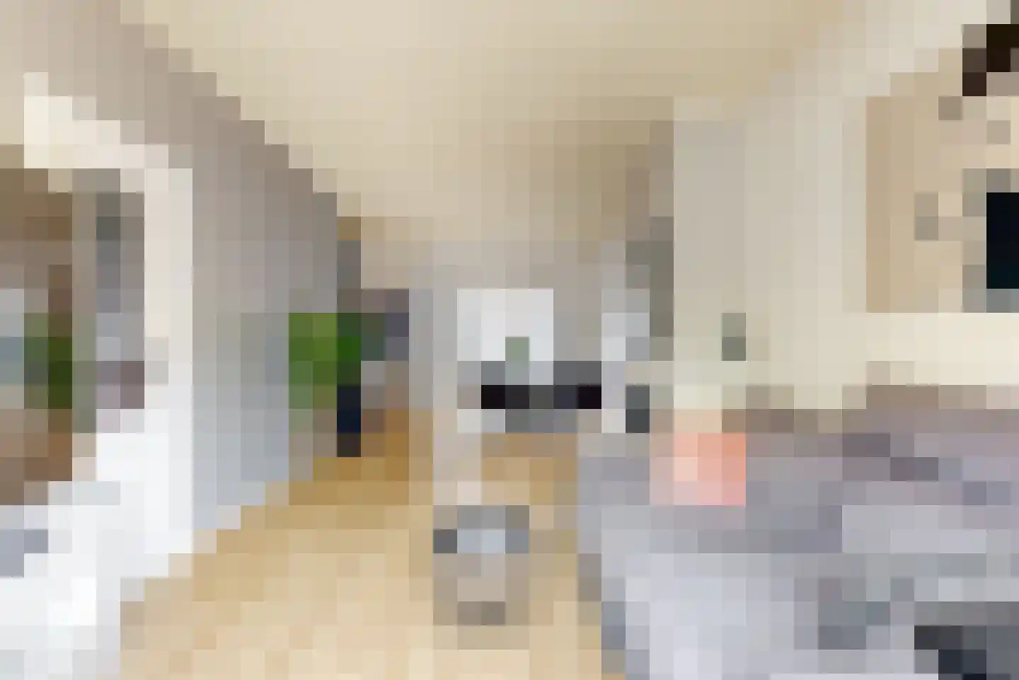 Venenlaan 91 Hoorn thumbnail 7