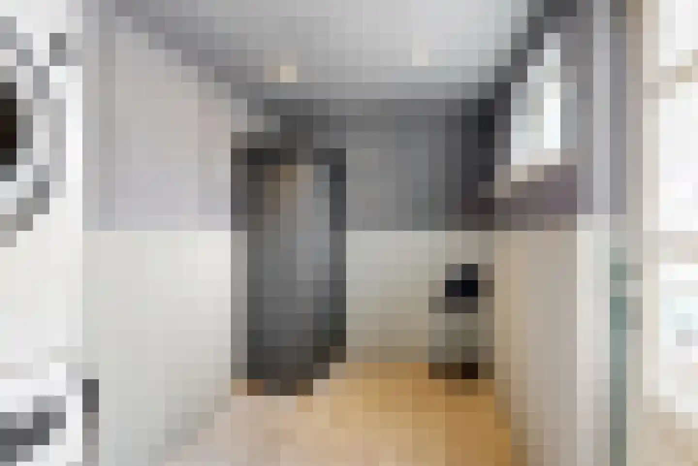 Venenlaan 91 Hoorn thumbnail 8