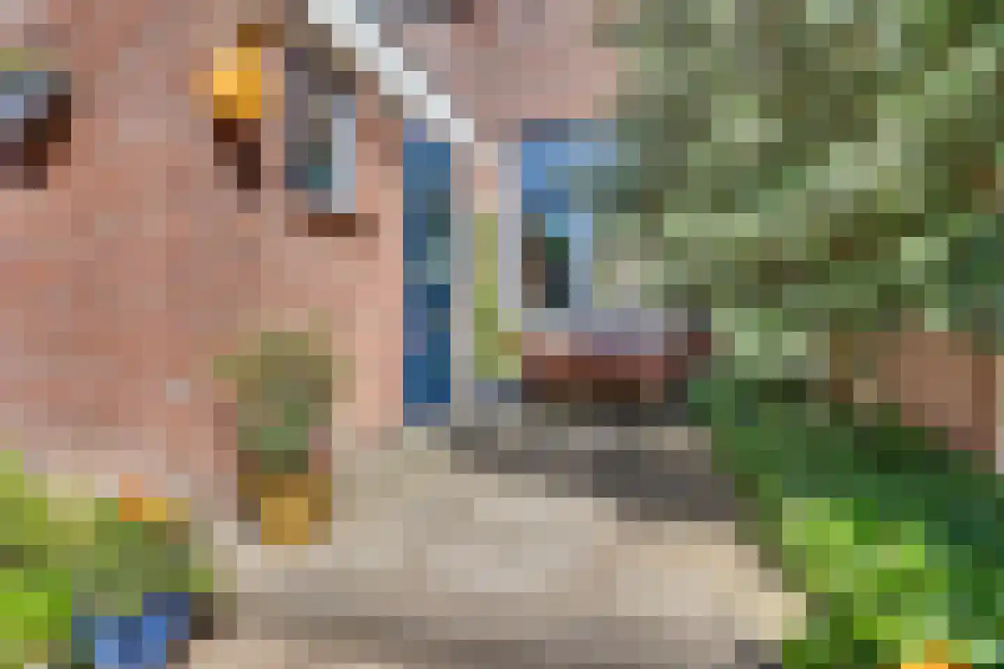 Venenstraat 26 Deventer thumbnail 34