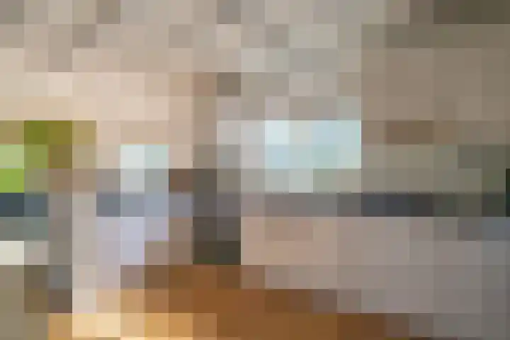 Venenweg 2 a Blaricum thumbnail 12