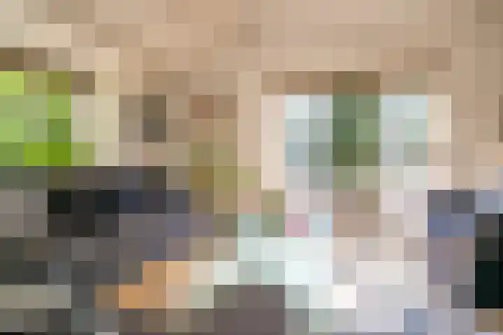 Venenweg 2 a Blaricum thumbnail 18