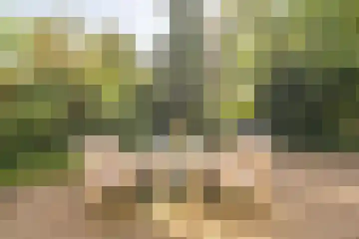 Venenweg 2 a Blaricum thumbnail 20