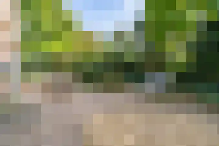 Venenweg 2 a Blaricum thumbnail 21
