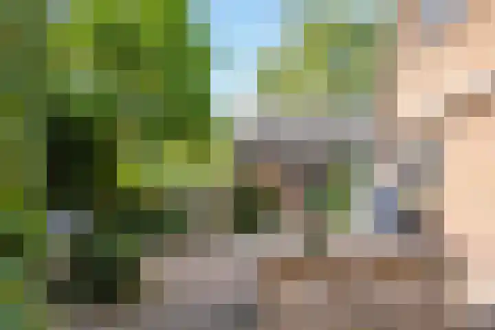 Venenweg 2 a Blaricum thumbnail 24