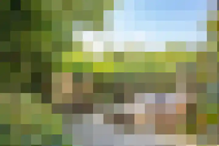 Venenweg 2 a Blaricum thumbnail 27