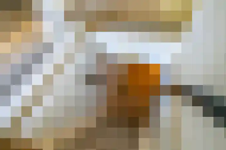 Venenweg 2 a Blaricum thumbnail 29