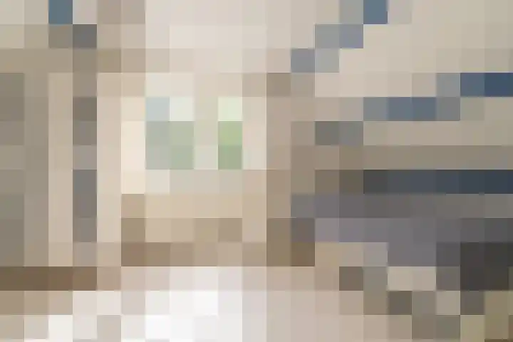 Venenweg 2 a Blaricum thumbnail 36