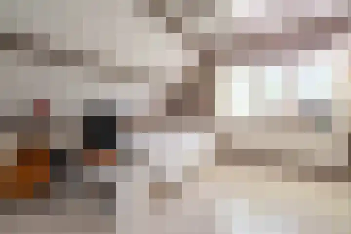 Venenweg 2 a Blaricum thumbnail 39