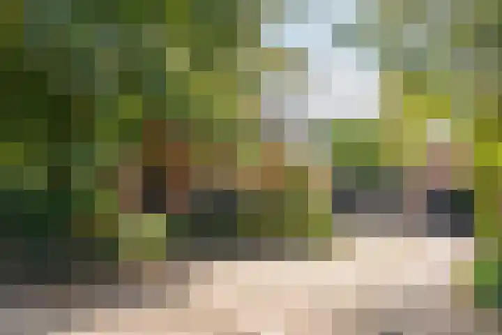 Venenweg 2 a Blaricum thumbnail 4