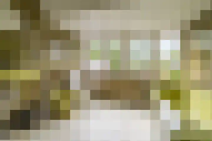 Venenweg 2 a Blaricum thumbnail 42