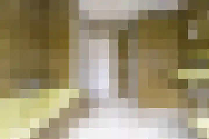 Venenweg 2 a Blaricum thumbnail 43