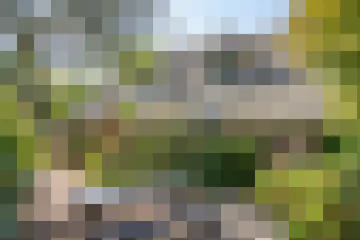 Venenweg 2 a Blaricum thumbnail 44