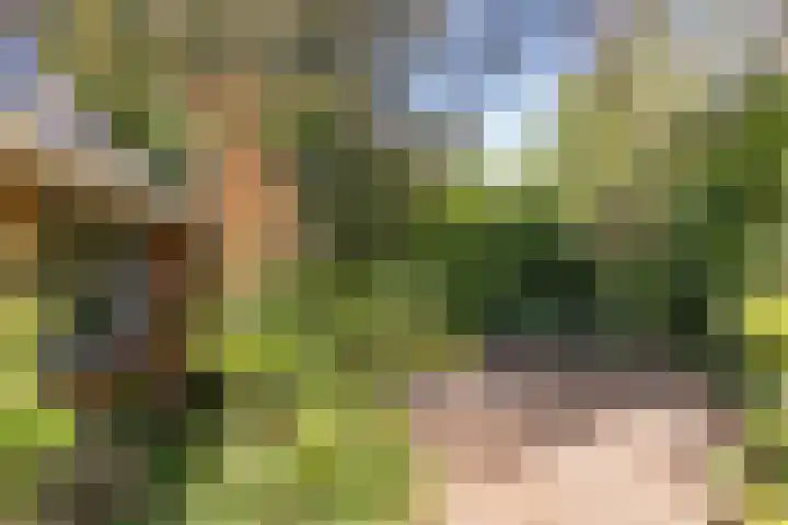 Venenweg 2 a Blaricum thumbnail 45