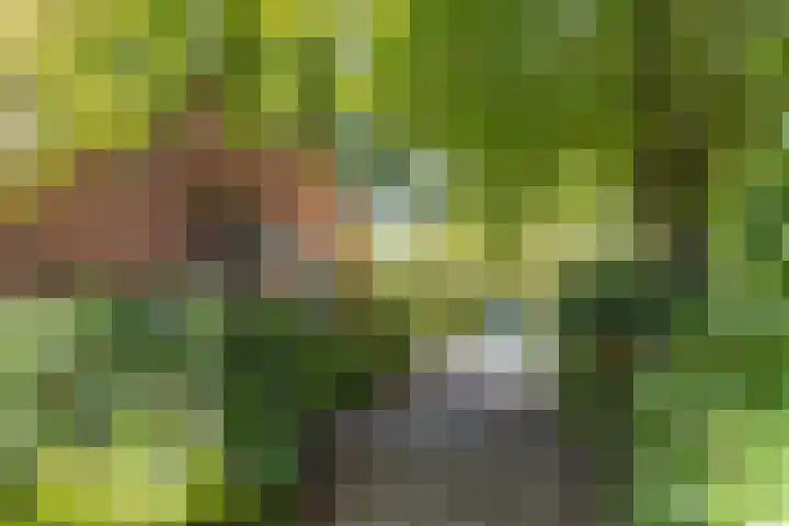 Venenweg 2 a Blaricum thumbnail 5