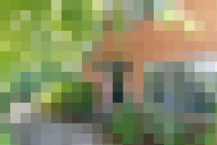 Venenweg 2 a Blaricum thumbnail 6