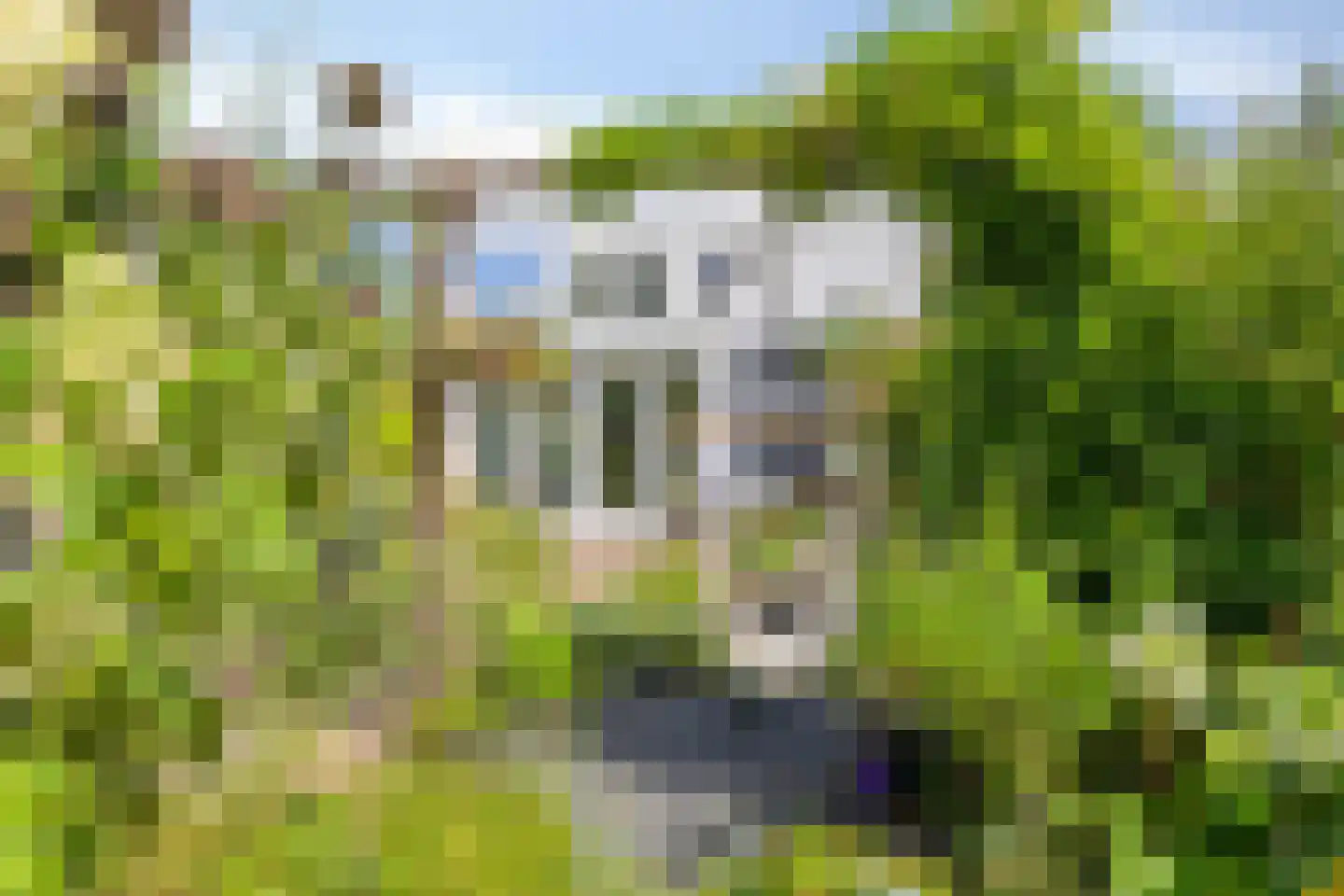Venestraat 161 Assen thumbnail 34