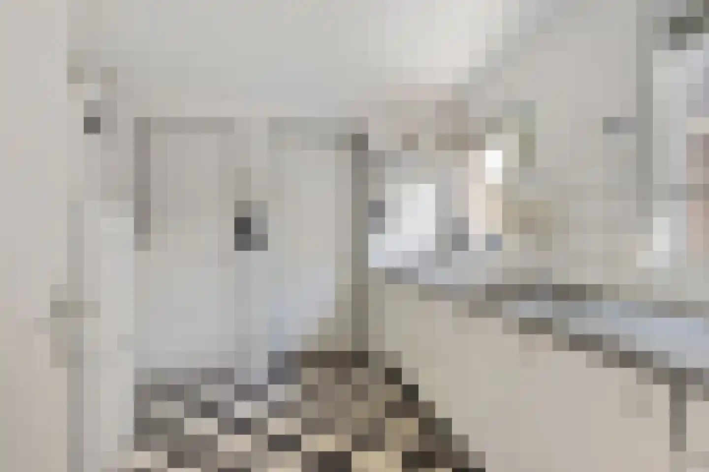 Venestraat 179 Assen thumbnail 12