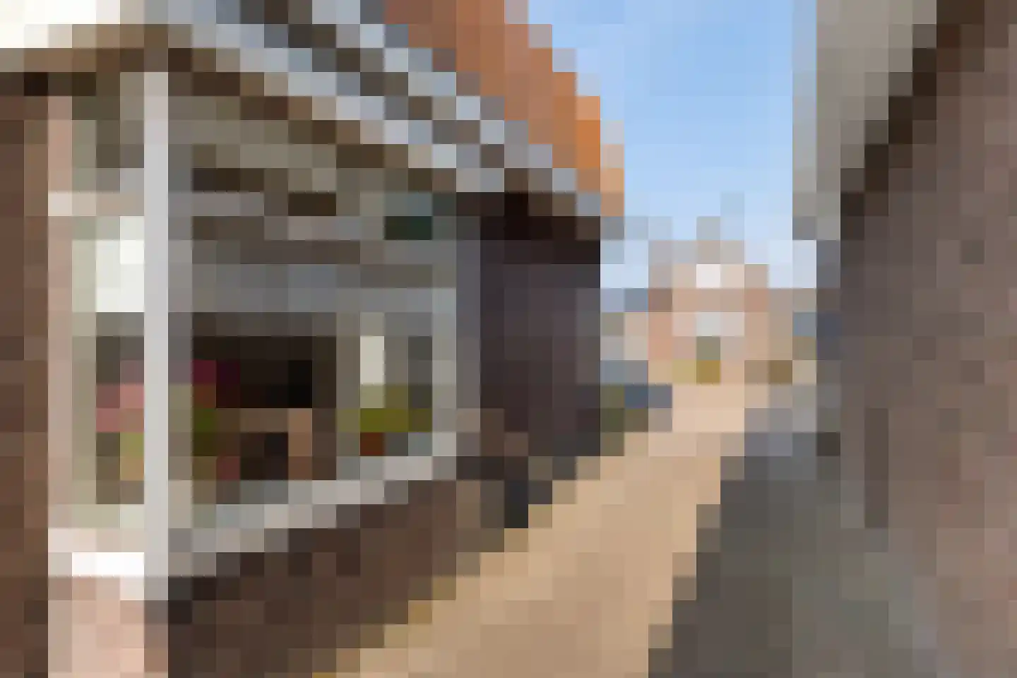 Venestraat 179 Assen thumbnail 33